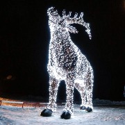 Огромный светодиодный лось (6)