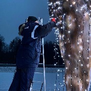 Огромный светодиодный лось (2)