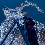 Огромный светодиодный лось (4)