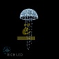 Медузы