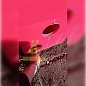 Емкость горизонтальная 2000л Усиленная